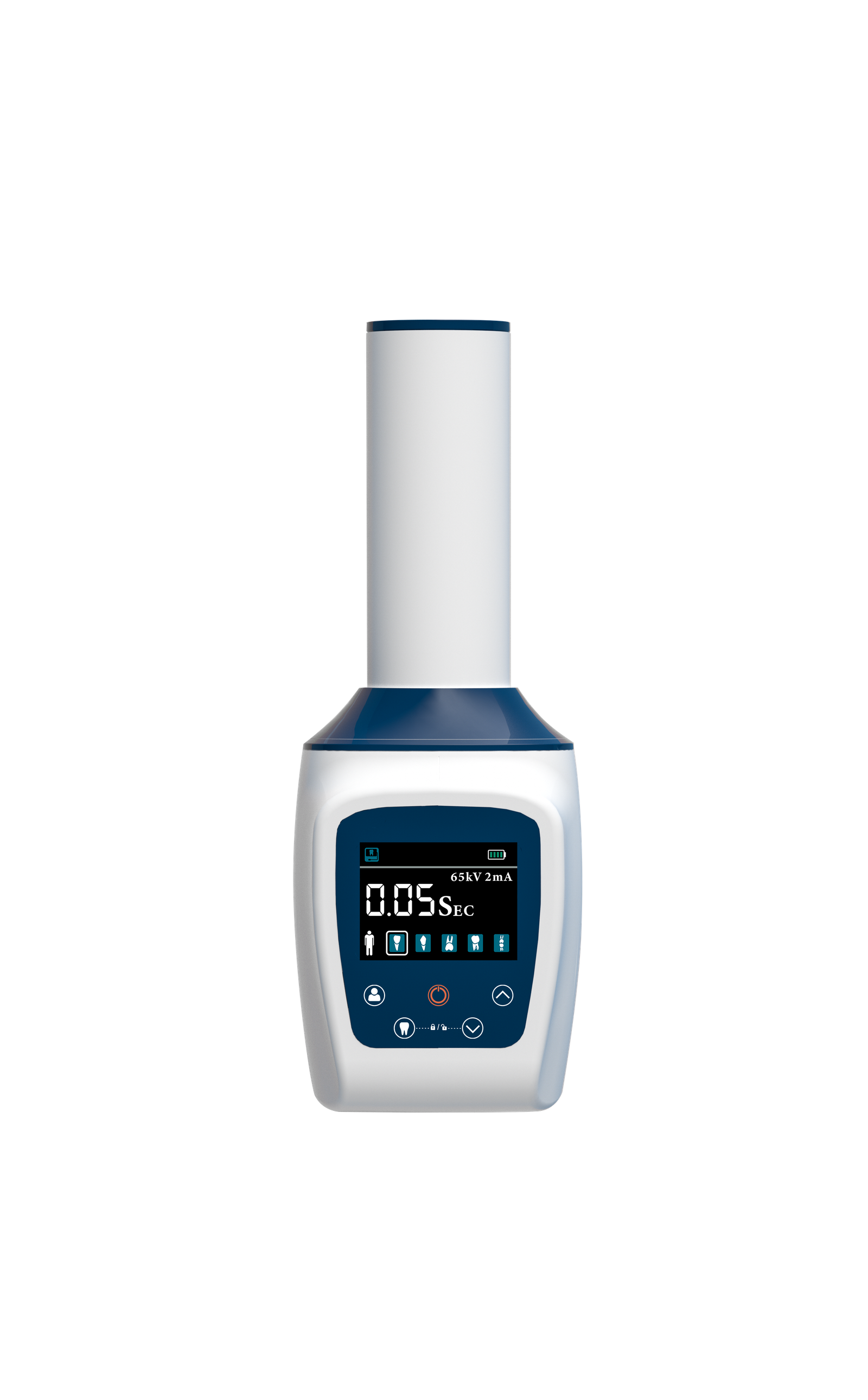 1 صور المعرض