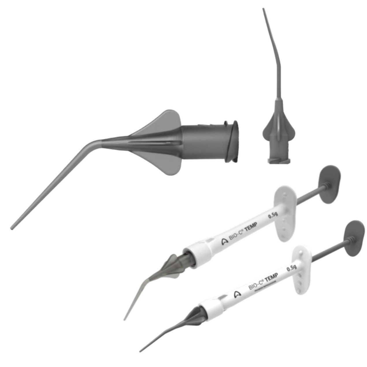 الصورة الرئيسية