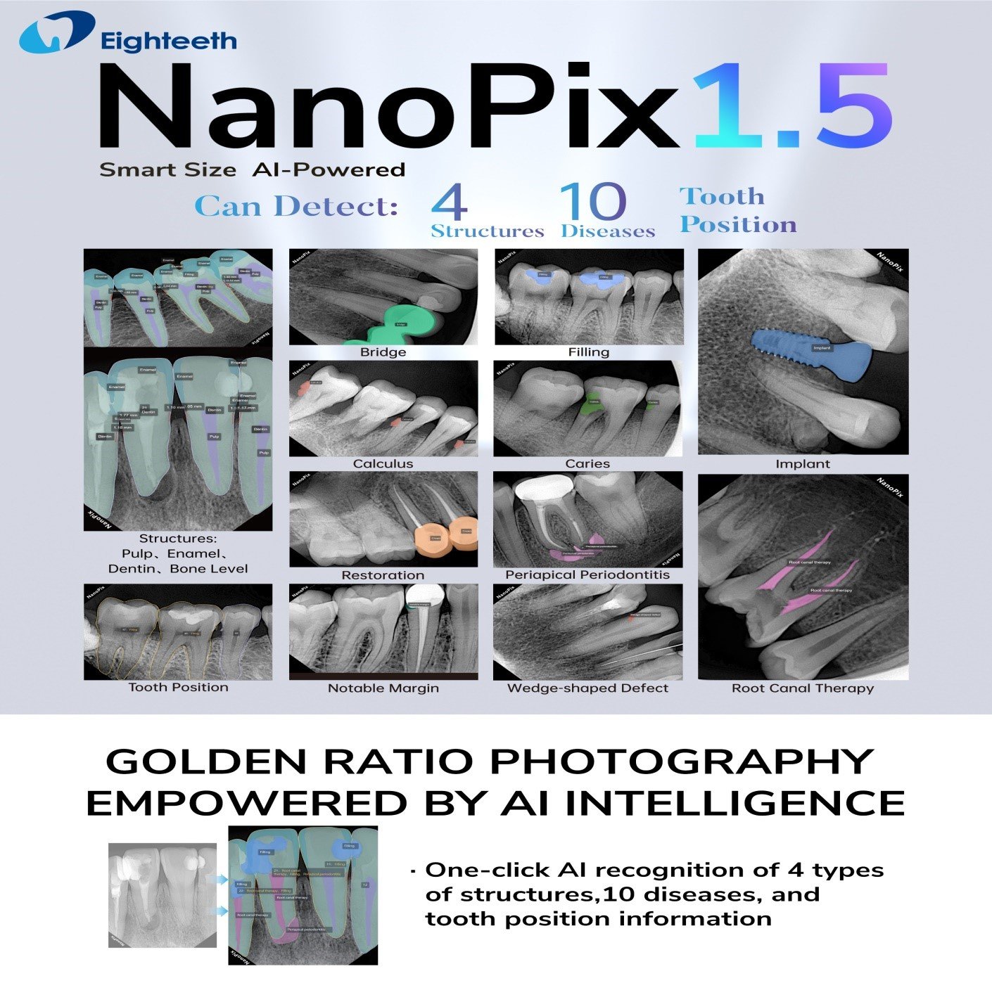 الدقة، الكفاءة، والسلامة