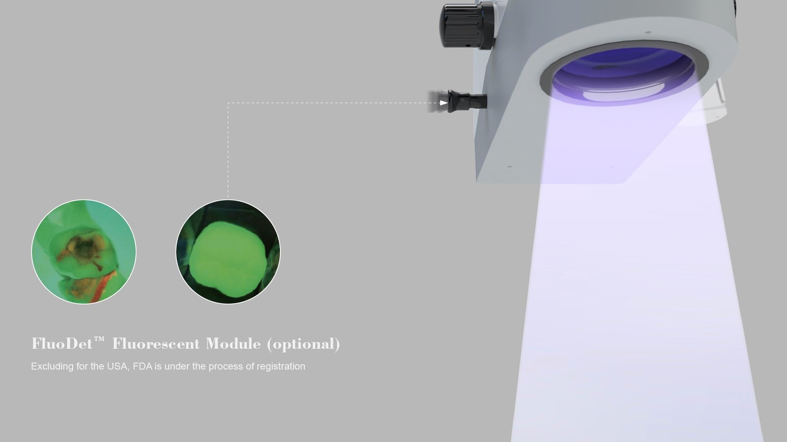 وحدة FluoDet™ والإضاءة الثانوية